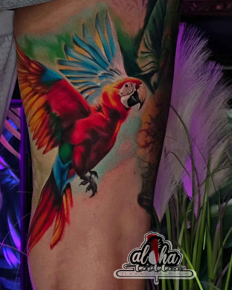 Tattoo by Thomas Palaniuk — Scarlet macaw (colour realism)
