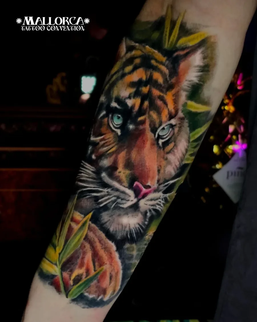 Tattoo by Thomas Palaniuk — Jungle tiger (colour realism)